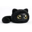 黒猫