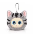 Tabby cat