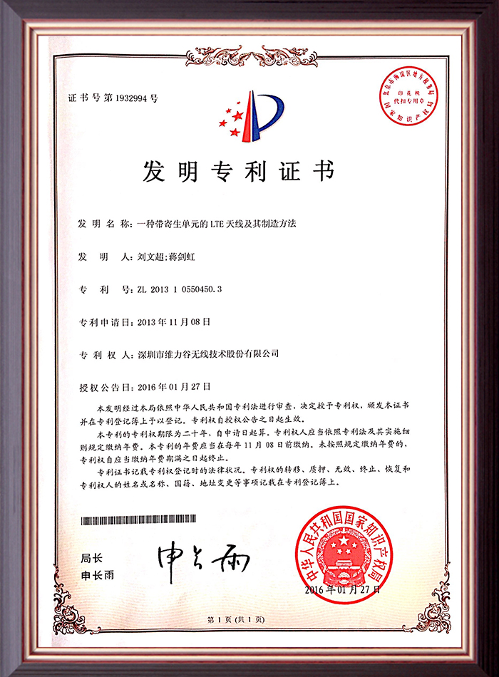 发明专利